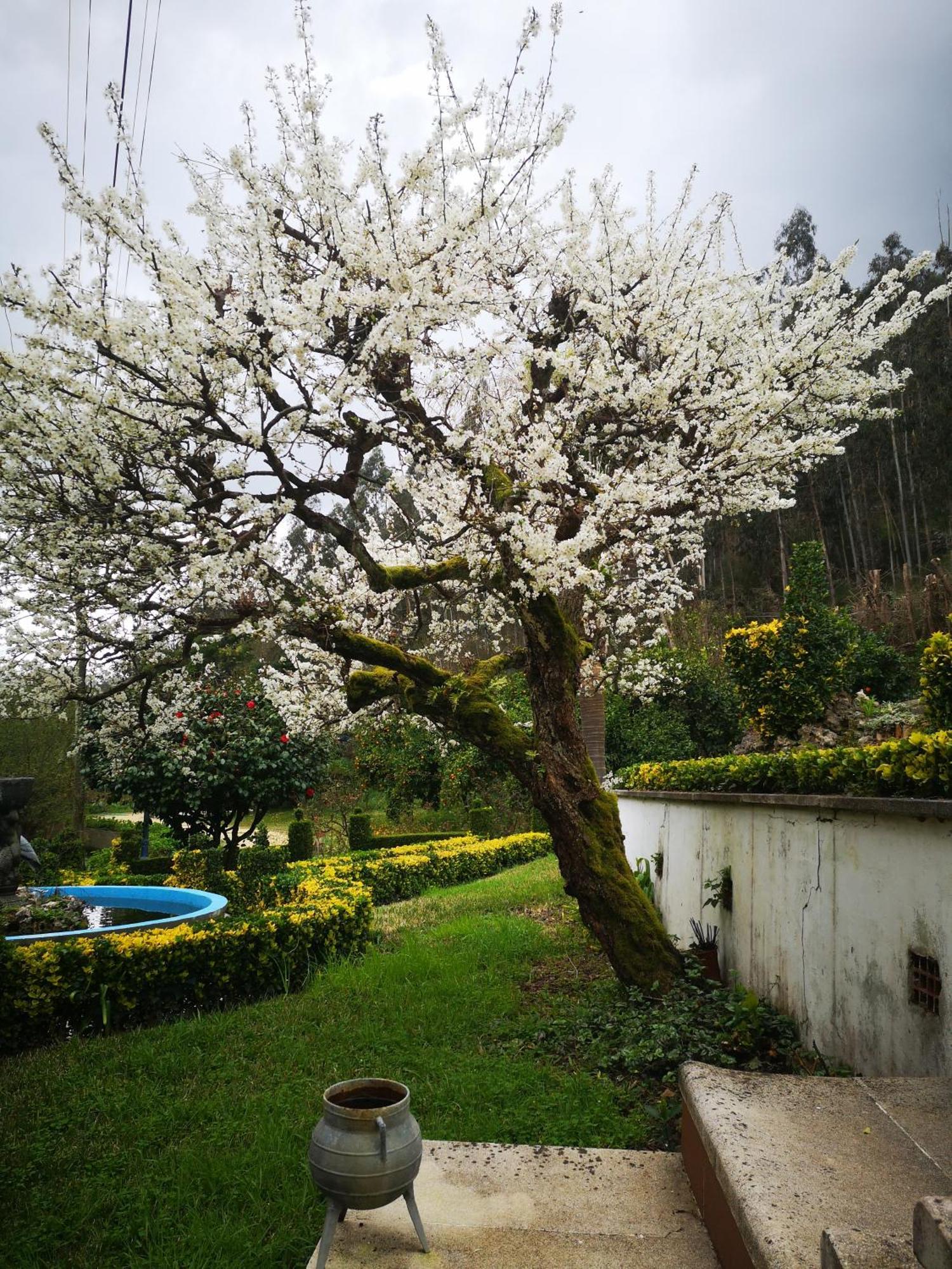 Quinta das Águias Aveiro Exterior foto